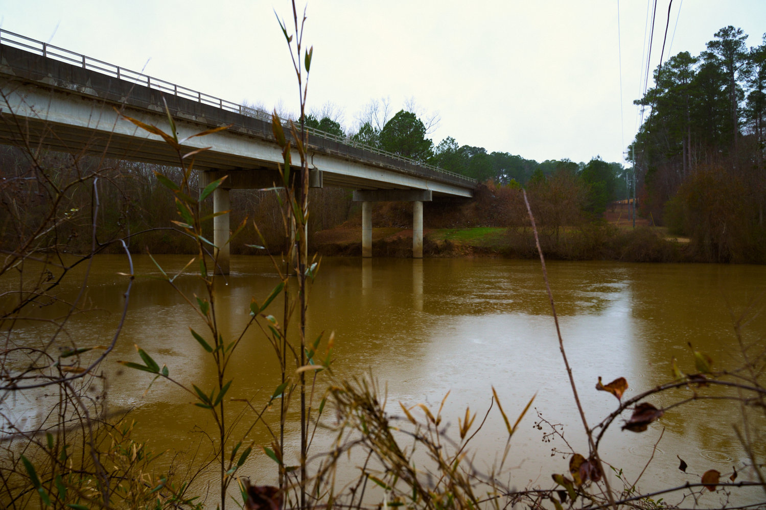 PFAS pollution in the Haw River has caused longstanding issues. Pittsboro Commissioners filed to sue chemical companies over the pollution Thursday